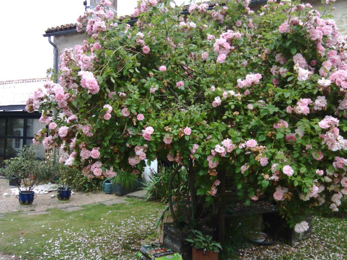 La Rosaliere Bed & Breakfast Chabournay Exterior photo